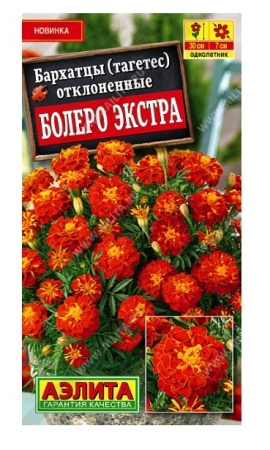 71b8fed1-f7ff-11ea-b984-005056c00008-1