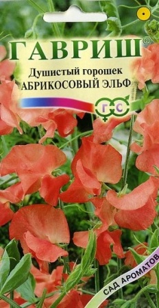 f890c905-c60d-11de-87ad-0019dbe91ea3-1