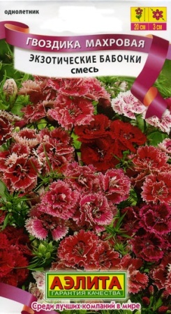 e201ac7a-c9f9-11de-87b1-0019dbe91ea3-2