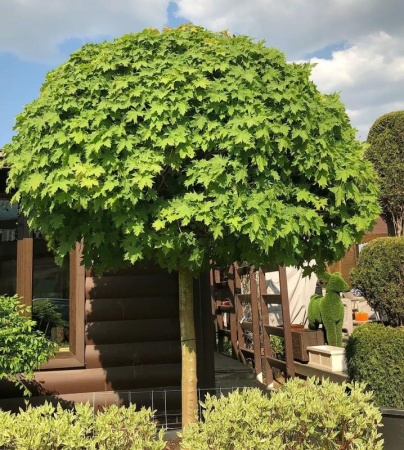 374a49cc-114c-11f0-8918-246e9611e8f6-1