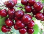 1f897b2f-20ff-11f0-8918-246e9611e8f6-1