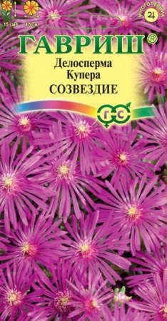 b69b185b-4247-11e9-b36c-005056c00008-1