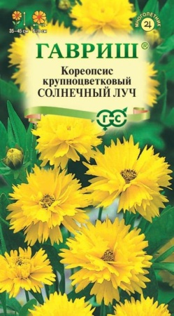 7d524cf3-dcea-11dd-9138-00500454e615-1