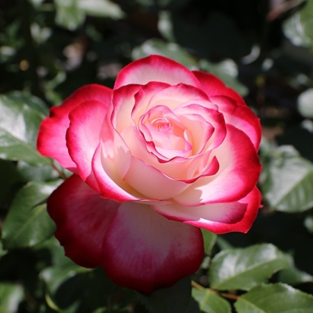 378da14c-2821-11e8-9db1-005056c00008-1