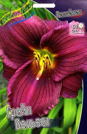 331fa4b7-3654-11df-a2c0-00235435134b-1