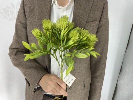 86dbb179-5a69-11f0-891b-246e9611e8f7-1