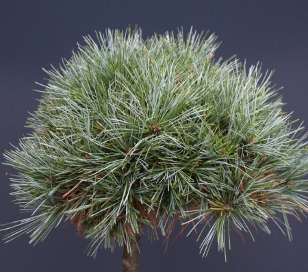 d8c7d080-d506-11f0-891e-246e9611e8f6-1