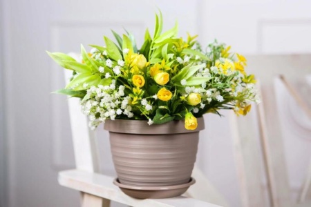 665081ac-5666-11ed-aea3-001e673ebdea-1