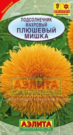 4aa37a70-04b1-11de-869b-0019dbe91ea3-2