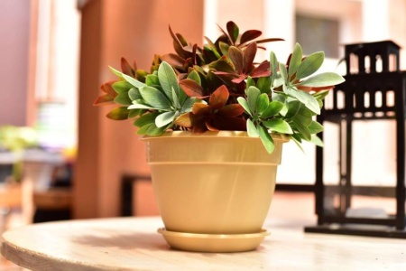 7ae95b86-567a-11ed-aea3-001e673ebdea-1