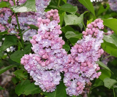 5f3deb65-2c3e-11f1-8926-246e9611e8f6-1
