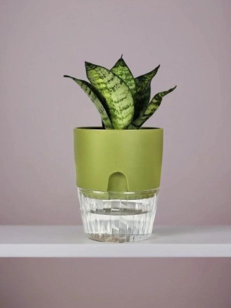 887870e9-d9cf-11f0-891e-246e9611e8f6-1