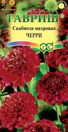 38e29520-419f-11e0-a4e9-00500454e615-1