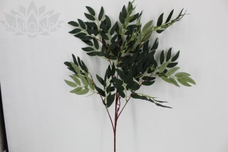 7538a597-5a52-11f0-891b-246e9611e8f7-1