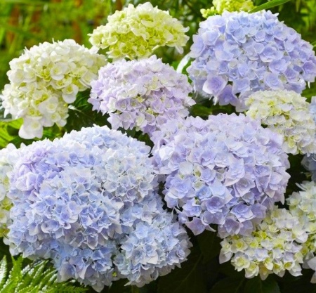 35fc0992-c20f-11f0-891d-246e9611e8f7-1