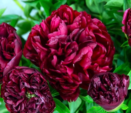 b0a07aa1-fffc-11f0-8924-246e9611e8f6-1