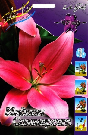 7e735400-9ec5-11df-854c-002354cb09e1-2