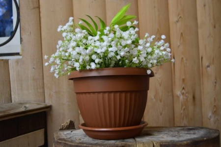 2934ddc4-58de-11ed-aea3-001e673ebdea-1