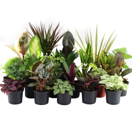 17e547cd-93dc-11ec-8510-005056c00008-1