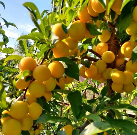 675d0319-beda-11f0-891d-246e9611e8f7-1