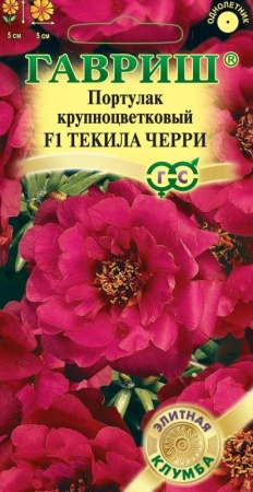 21433db5-c797-11de-87ae-0019dbe91ea3-1