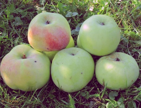 89f42fab-2f0e-11f0-8918-246e9611e8f6-1