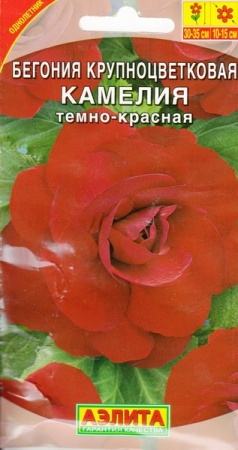 56ea040d-65e8-11e2-9b29-00500454e615-2