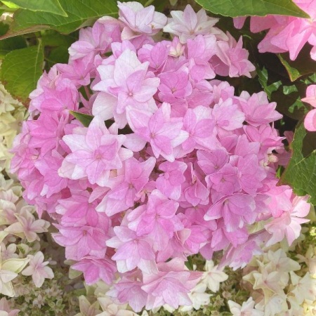 85ab8076-542f-11f1-892a-246e9611e8f6-1