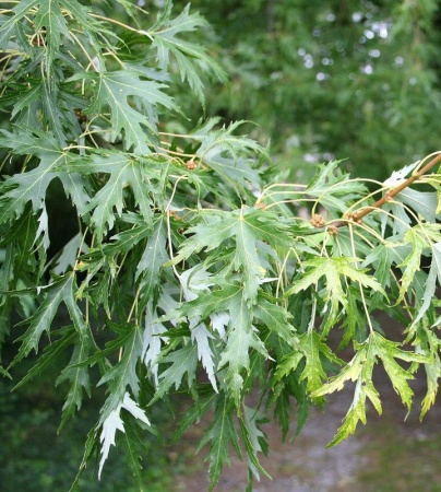 bd4a2770-114b-11f0-8918-246e9611e8f6-1