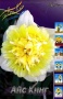 178ce3a8-5bab-11ef-8910-246e9611e8f6-1