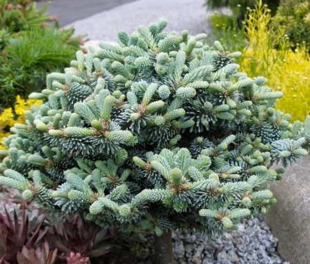 d6b12d29-e5dd-11ee-890a-246e9611e8f5-1