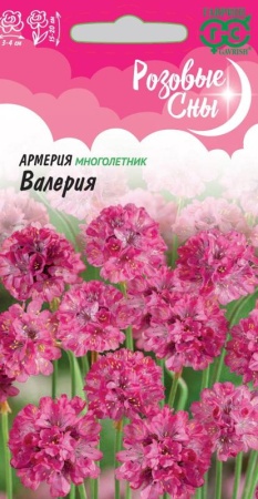 592b04d2-e818-11ea-86cc-005056c00008-1