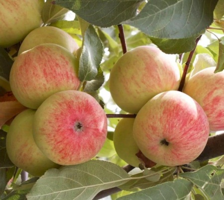 021f64aa-bb04-11f0-891d-246e9611e8f7-1