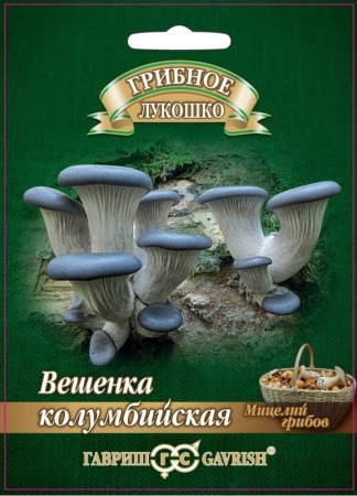 37ae5773-06a4-11e1-9f75-00500454e615-1