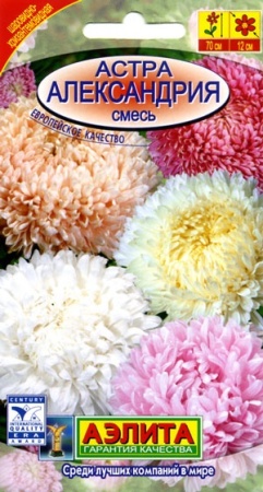 6463d7c6-dcea-11dd-9138-00500454e615-2