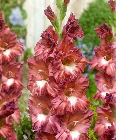 9eaafdac-0d6f-11e8-9960-005056c00008-1