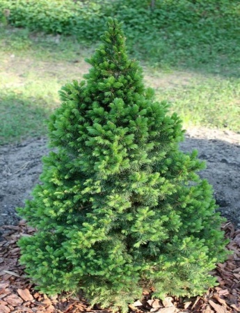 bd695d05-c11d-11ef-8915-246e9611e8f5-1