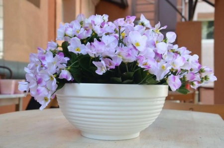 04cbba94-58da-11ed-aea3-001e673ebdea-1