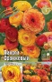 ffa52ab9-ad26-11e8-9ac1-005056c00008-1