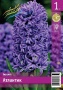 b81dce70-4db3-11f0-891a-246e9611e8f6-1