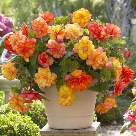 94e63964-679b-11ed-bd4c-001e673ebdea-1