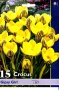 7e73541a-9ec5-11df-854c-002354cb09e1-1