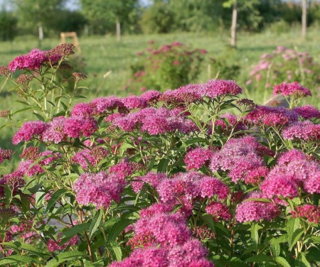 0aeba90f-113c-11f0-8918-246e9611e8f6-1