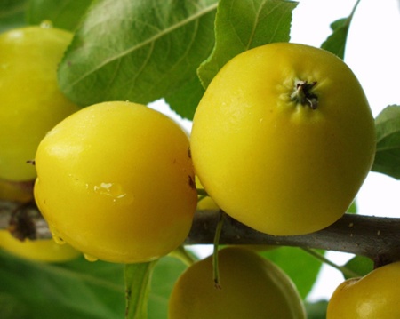 b2f300ed-cc02-11ef-8915-246e9611e8f5-1