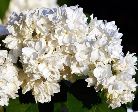 63bf35ed-2f8d-11ef-890e-246e9611e8f7-1