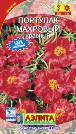 954d95ae-dcea-11dd-9138-00500454e615-2