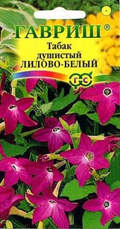 9b4d00de-dcea-11dd-9138-00500454e615-2