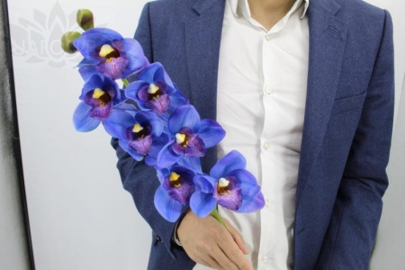 82bd41b4-5a5d-11f0-891b-246e9611e8f7-1