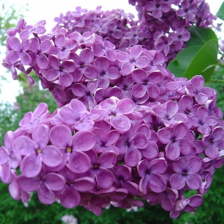 0c2f2f98-2c3c-11f1-8926-246e9611e8f6-1