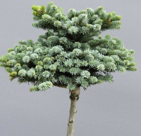 3f0ad099-d4d0-11f0-891e-246e9611e8f6-1